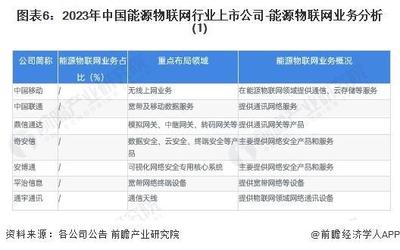 「前瞻解读」2024-2029年中国能源物联网行业需求及发展趋势分析
